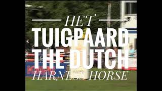 2006 Tatsiana V. Jonker - Rubriek Zesjarige Merries, Ntd