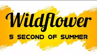 5 Second Of Summer - Wildflower Lyrics by Iconic Lyrics