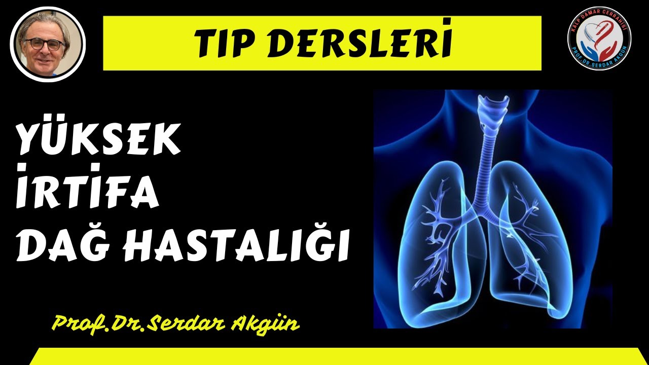 Solunum Fizyolojisi, Dağ Hastalığı, Prof.Dr.Serdar Akgün, Serdar Akgün Tıp Videoları