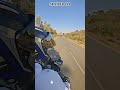 Custom Cycles: My Next Project or Just an Ad?