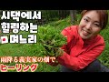 일본인 아내의 한국 시집살이 대공개 韓国の春の山菜で醤油ピビンパ！畑で水の音に癒される【한일부부/日韓夫婦】
