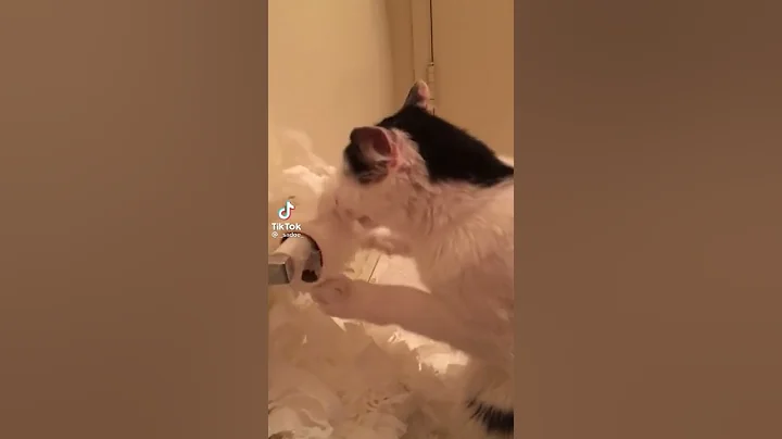 I begin to pass out then my head hit the wall