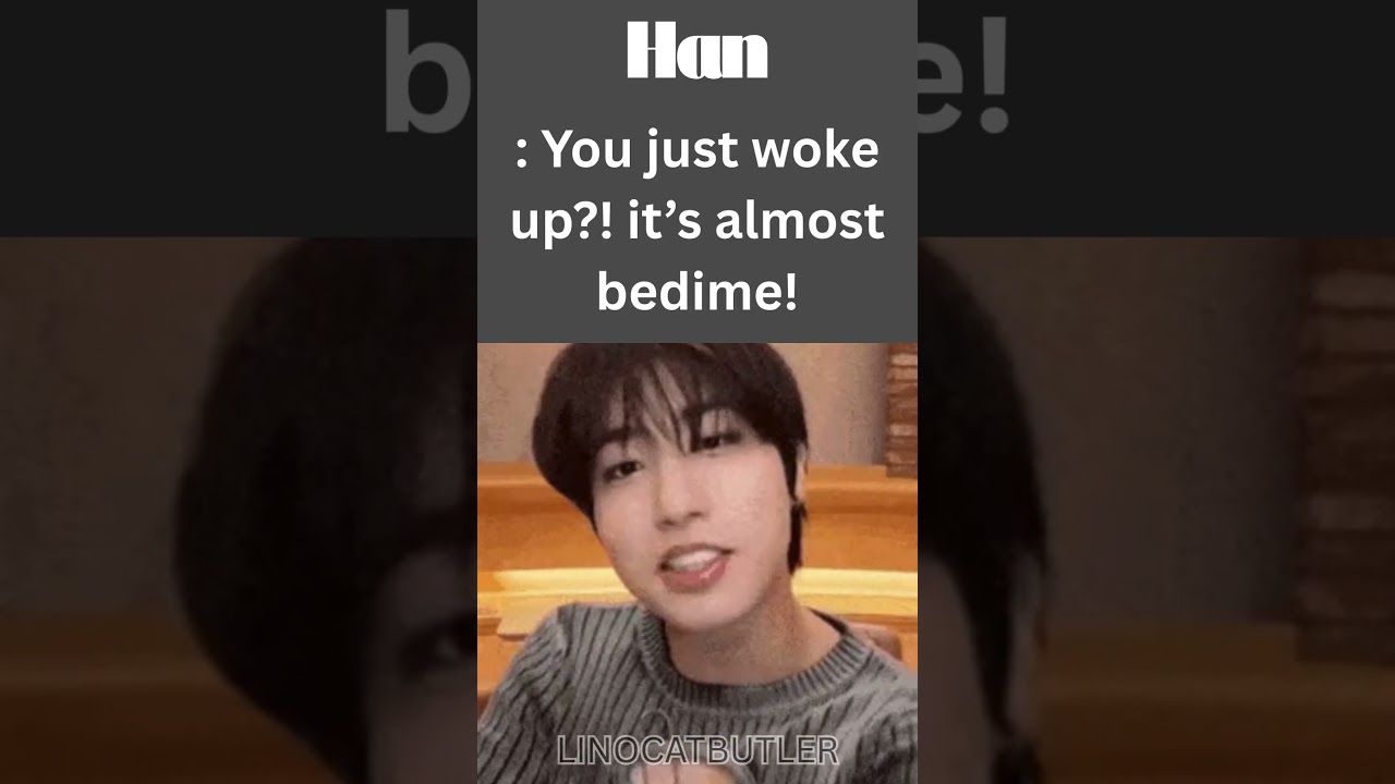 Stray Kids Reactions (When you wake up at 3pm)  