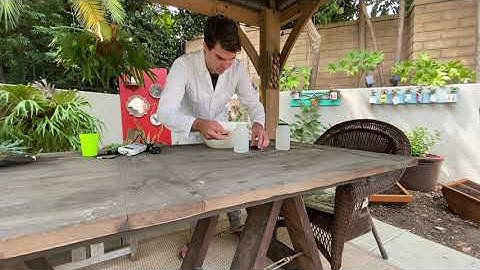 Primary Productivity Lab