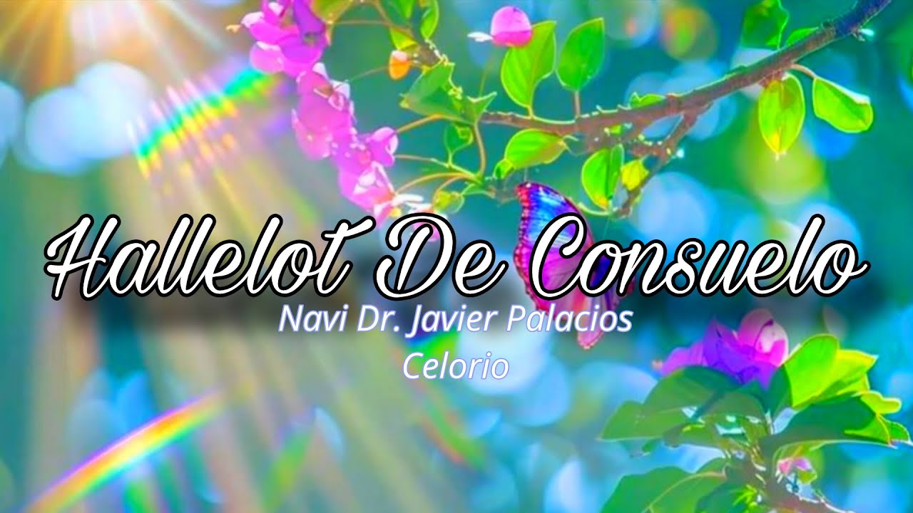 𝑯𝒂𝒍𝒍𝒆𝒍𝒐𝒕, 𝑴𝒆𝒍𝒐𝒅𝒊́𝒂𝒔 𝑫𝒆 𝑪𝒐𝒏𝒔𝒖𝒆𝒍𝒐/ 𝑵𝒂𝒗𝒊 𝑫𝒓. 𝑱𝒂𝒗𝒊𝒆𝒓 𝑷𝒂𝒍𝒂𝒄𝒊𝒐𝒔 𝑪𝒆𝒍𝒐𝒓𝒊𝒐/ 𝑮𝒐𝒛𝒐 𝒚 𝑷𝒂𝒛 