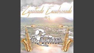 Video thumbnail of "Alacranes Musical - Zapateado Encabronado"