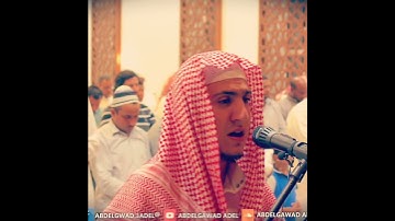 آيه عظيمة 💜 القارئ عبدالجواد عادل