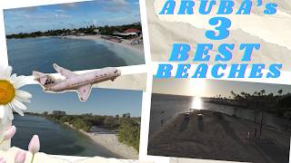 Aruba's Three Best Beaches Revealed From Above