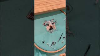 Unleash Your Pup's Style with Our Custom Dog Badges | Darcy from Pooches At Play