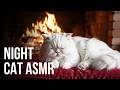 Cozy Night Cat Purring #catnapasmr   #catpurring   #catasmr   #sleepasmr
