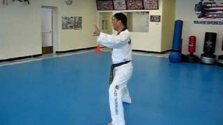 One Step Sparring #9