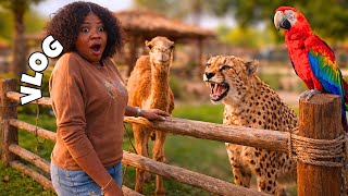 Living in Qatar: I Didn’t Expect This at a Mini Zoo in Qatar… 😳
