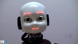 iCub   Humanoid Platform