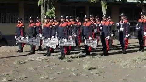 FBRC Sigalab 2017-01 recognition rites