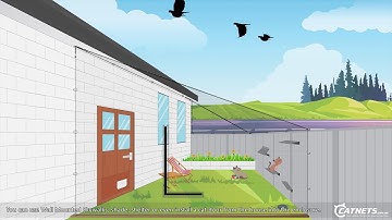 Backyard D.I.Y. Cat Netting Enclosure with Colorbond Fence | Catnets.com.au