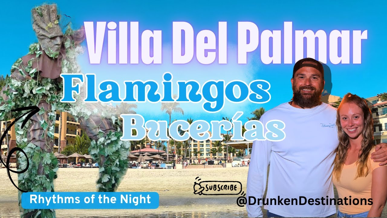 Вилла Дель Пальмар Фламинго Влог | Ритмы ночи | Бусериас | Пуэрто-Вальярта