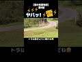 大慌て!雷が怖くて散歩から逃げ帰る猫! #Shorts
