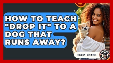 How To Teach "Drop It" To A Dog That Runs Away? - Obedient Dog Guide