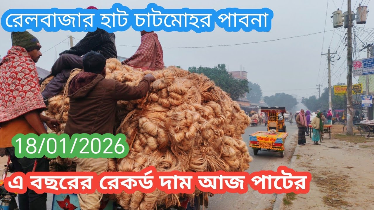 18 January 2026 আজকের পাটের বাজার দর। রেকর্ড পাটের বাজার দামে। Jute wholesale market price rate 