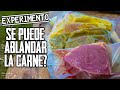 ¿Cómo Ablandar la Carne? Experimento - Mitos de la Parrilla