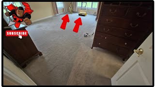 20 YEAR OLD GHOST WHITE CARPET CAME OUT BEAUTIFUL 🧼😱