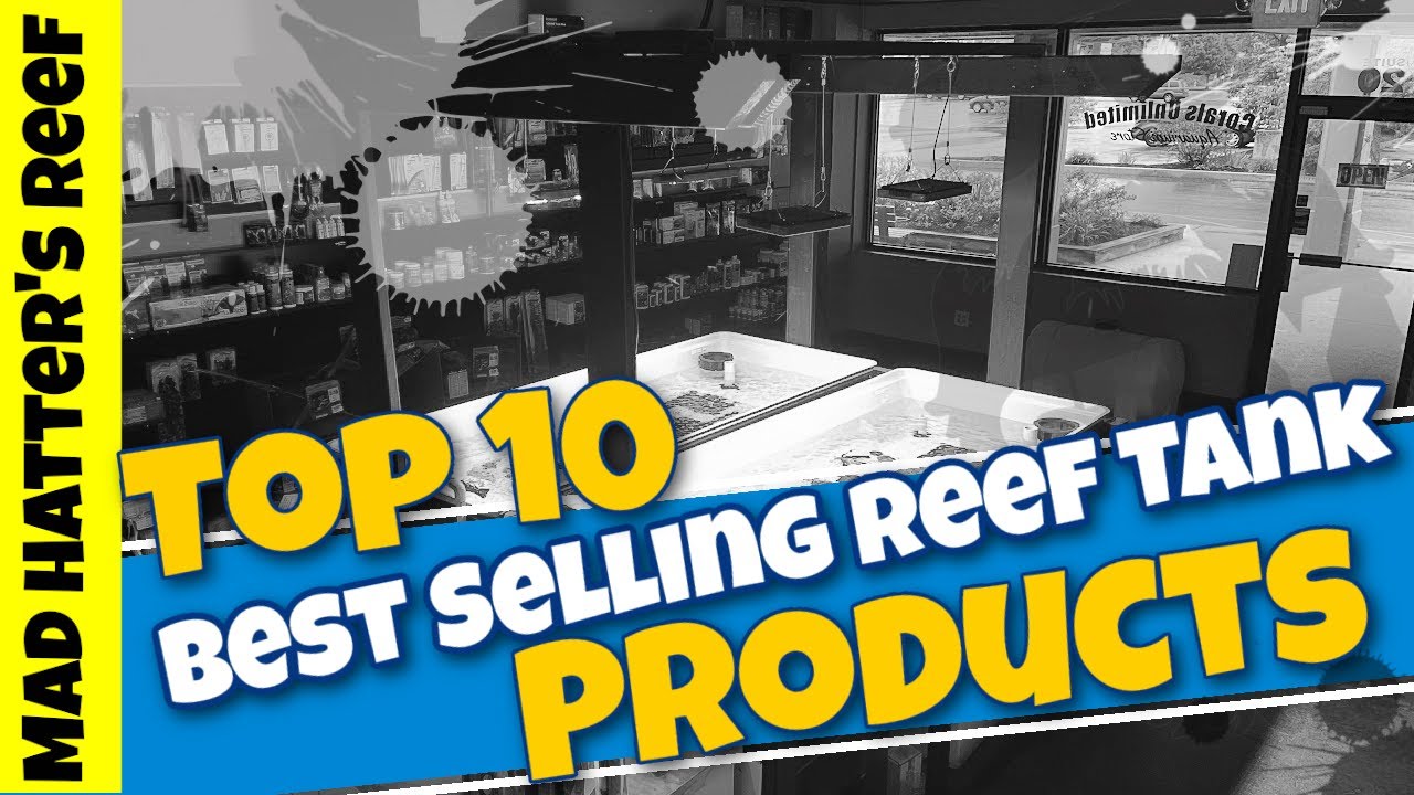 Top 10 Best Selling Reef Tank Products for 2021