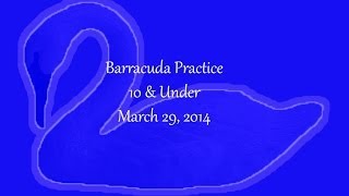 20140329 Synchro 10 and Under Barracuda
