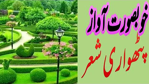 very beautiful voice Potwari Sher UK/ Apna Sufi Channel /Saqafat Pothwar Channel