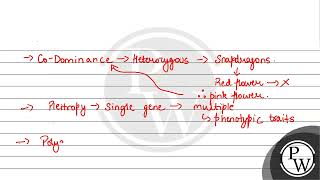 Match the terms in Column I with their description in Column II and choose the correct option....