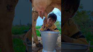 small cow chfggt hfv #toyswala #funny #anaya