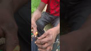 Finesse the cracks  smoker Finesse the cracks  smoker