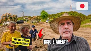 VEJA COMO É PLANTAR MANDIOCA NA ROÇA JAPONESA
