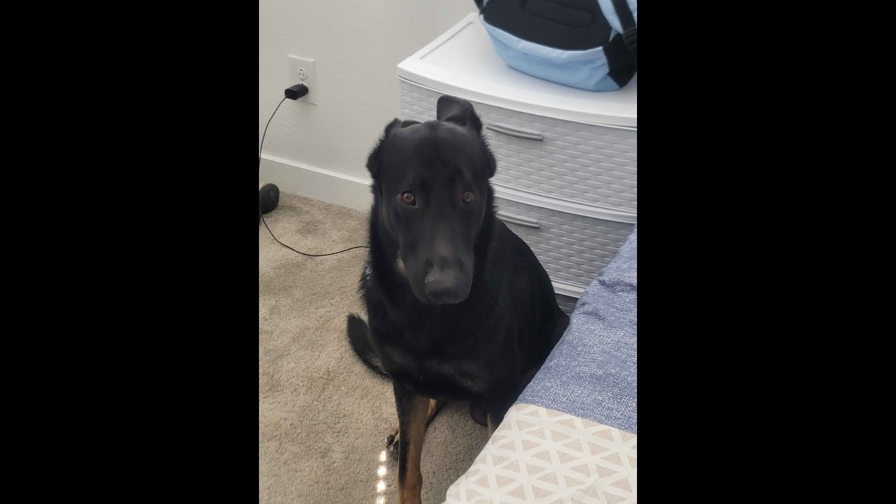 ARKNIGHTS ENDFIELD!!!! TYCOON SIMULATOR!! GRINDING MORE PULLS!!!