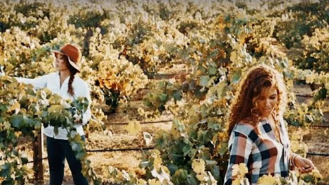 Sisters build winery after discovering each other