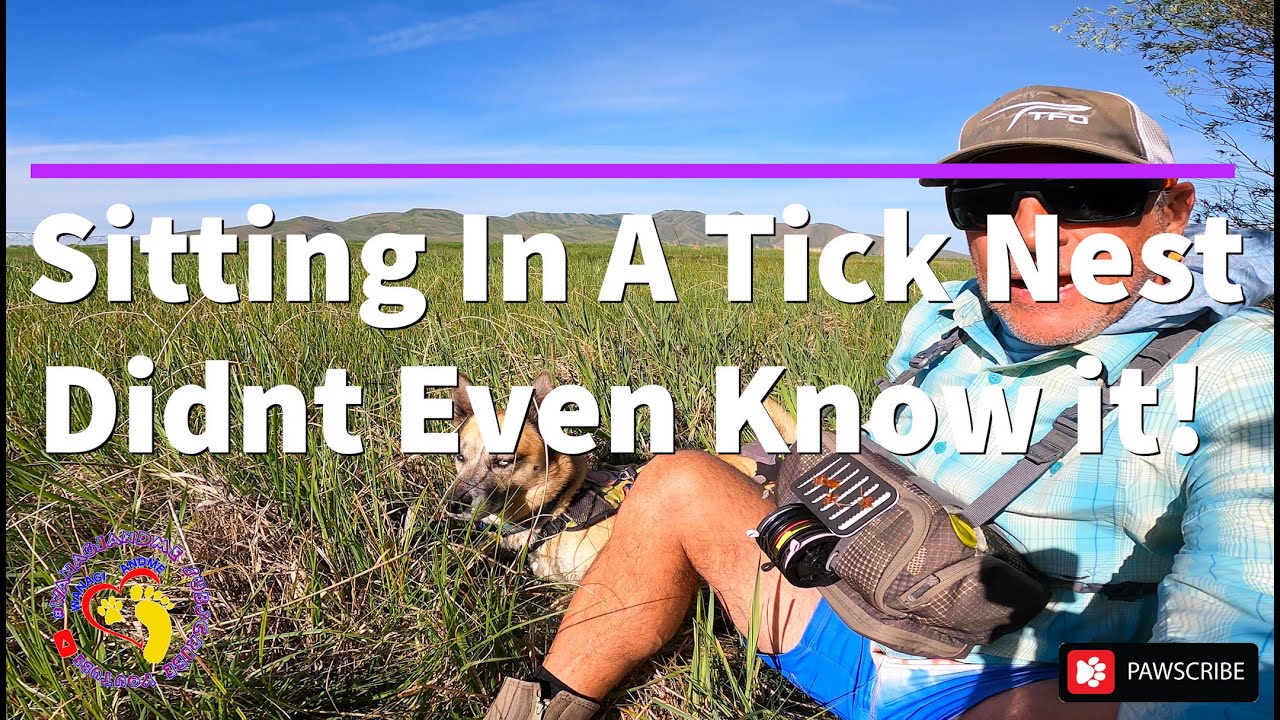 Sitting in a Huge Tick Nest Brown Drake Hatch Flyfishing Crowds 4x4 Truck Camper Trailer Adventure