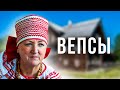 Лесные люди. Народ Вепсы. История. Быт. Жизнь