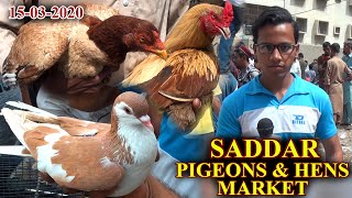 Pigeons and Rooster Sunday Market Saddar Karachi RD 15-3-20 Updates Videos In Urdu\/Hindi (JAIC)