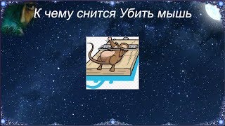 К чему снится Убить мышь (Сонник) К чему снится Убить мышь (Сонник)