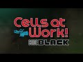 Cells at Work! CODE BLACK Trailer 2