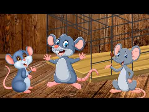 სათაგური