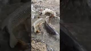 Kuraklık Mı Sence I Şfetbeniöneçıkar