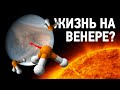 Учёные нашли жизнь на Венере?