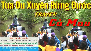 Tua Du Lịch Xuyên Rừng Đước Cà Mau - Du Lịch Cà Mau 4 Nhuần