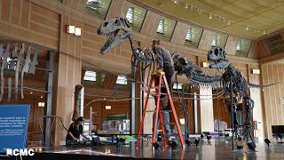 3D Scanning the World's Most Complete Torvosaurs Skeleton at Cincinnati Museum Center