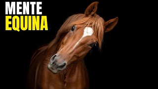 El Lenguaje Secreto de los CABALLOS: Lo que te Grita y NO Escuchas
