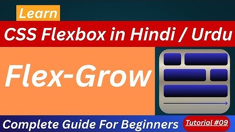CSS Flexbox Flex-Grow Tutorial in Hindi / Urdu 