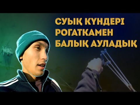 Бейне: Омандағы балық күні