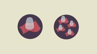 Function Operations | Mathematics | Algebra 1