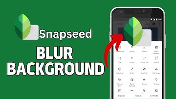 How to Blur Background in Snapseed 2024?