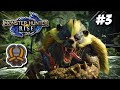Hunt An Arzuros - Monster Hunter Rise Gameplay